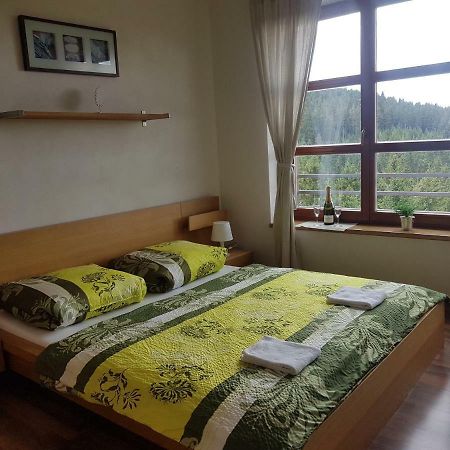 Vysokohorsky Apartman Cihlarka 페츠 포트 스네스코우 외부 사진