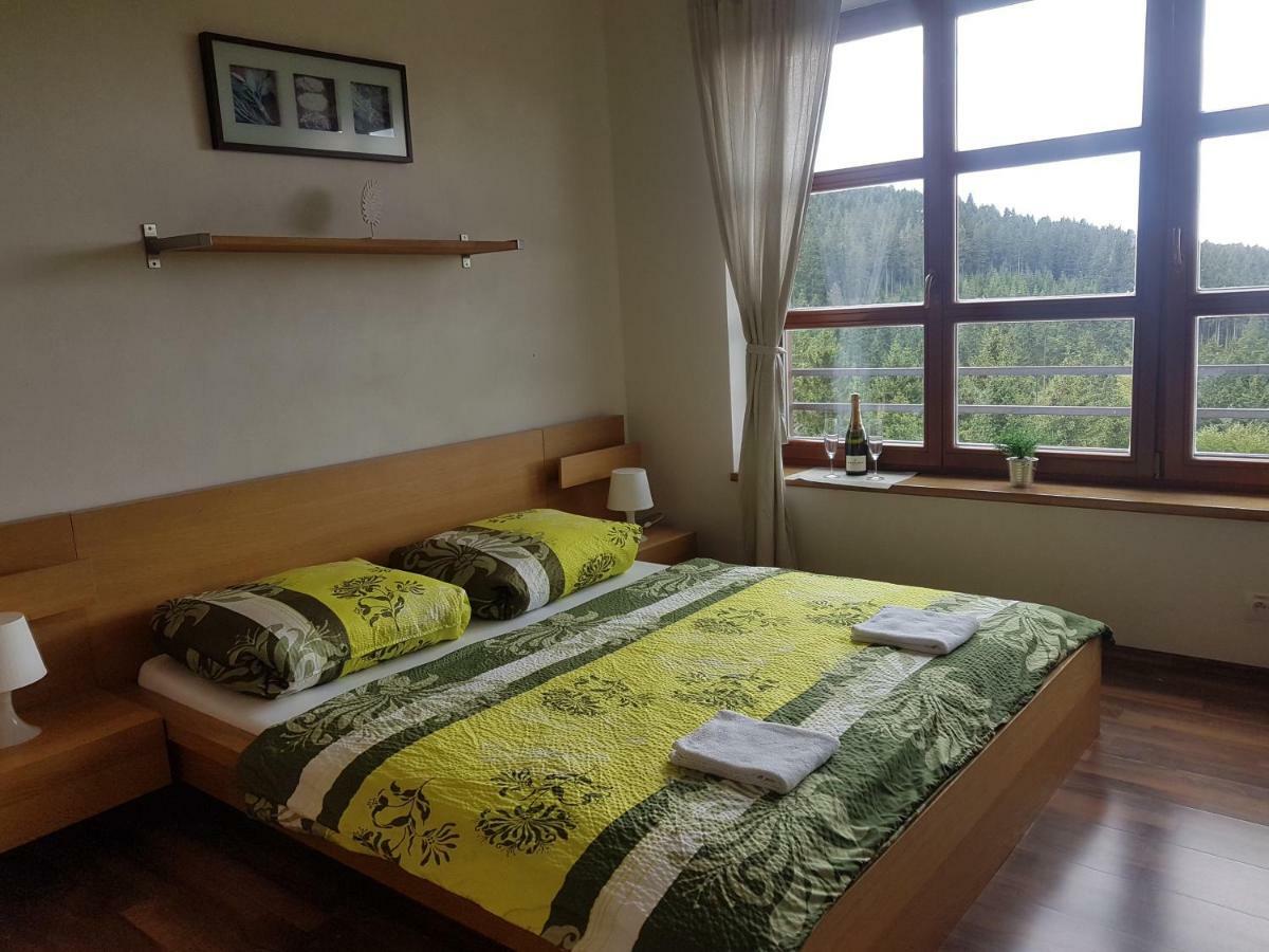 Vysokohorsky Apartman Cihlarka 페츠 포트 스네스코우 외부 사진